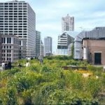Le guide gratuit " Pratiques écologiques dans les espaces verts de mon immeuble "